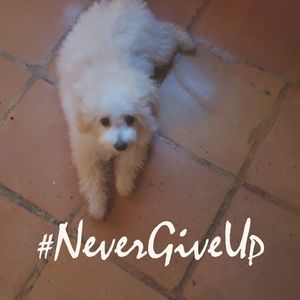 Meet your Posher, Stephenie